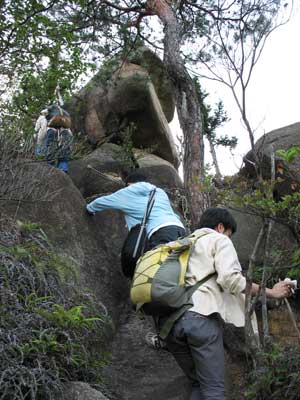 太神山系堂山山頂直下の奇岩を攀じ登る山会参加者