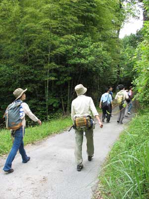 滋賀県田上の新免集落から山へ入る林道をゆく山会一行