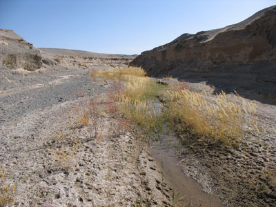 敦煌近郊集落「南湖」郊外の荒漠中に渓谷を成す、川底に少し水がある「西土溝」