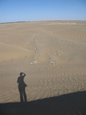 敦煌近郊集落「南湖」郊外の荒漠中に見た、流砂より顔を出す2条の石列
