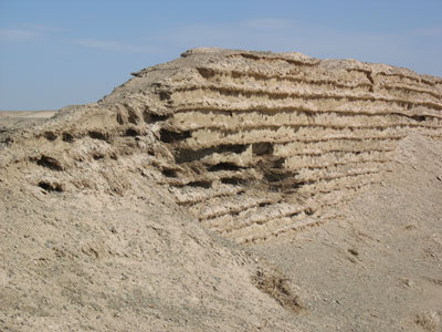 砂礫と葦を交互に積み塩水で固めたという特殊な構造がわかる、敦煌近郊の漢長城側面
