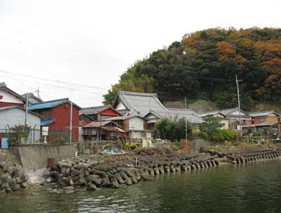 滋賀県琵琶湖沖島の中心集落北岸から見た、寺院を中心に住居が密集する集落の様子