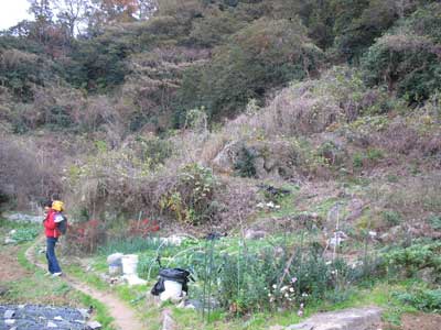 滋賀県琵琶湖沖島の北岸の岬後方の山地にある採石場跡