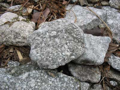 滋賀県琵琶湖沖島の北岸採石場跡にあった、独特の斑紋が特徴的な沖島の石「石英斑岩」