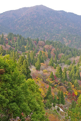 滋賀県西部に連なる比良山脈・堂満岳山頂にて昼食休憩をとる山会参加者