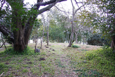 手入れされた美麗な植栽をもつ、奈良盆地東南・纏向遺跡「東田大塚古墳」の後円頂部