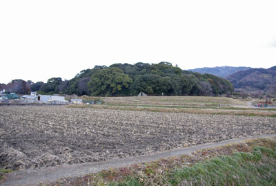 山辺の田圃中に横たわる、奈良盆地東・柳本古墳群の渋谷向山古墳