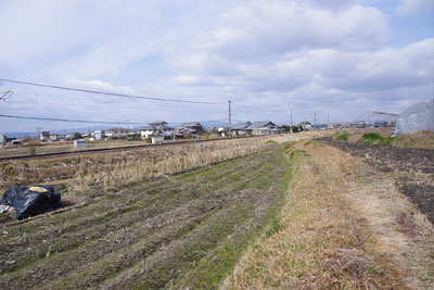 奈良盆地東南・箸墓古墳の外濠か外堤との関連が窺わせる、湾曲する田圃道