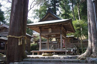 京都市街北郊・静原集落の中心地山手にある静原神社の社殿と巨木の神木