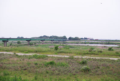滋賀県湖東の河原に広がる草深い荒地とその向こうに覗く網会開催地の水面