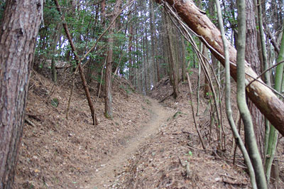 京都市東部山中の如意ヶ嶽稜線付近に続く如意越の道と土塁関門遺構（？）