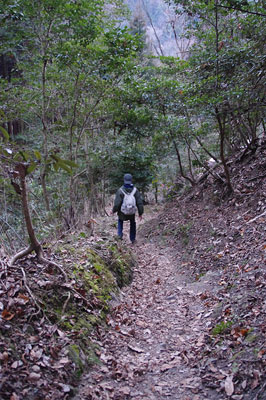 京都市東部山中にある大文字山の火床から鹿ケ谷へと通じる道をゆく参加者