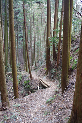 京都市街東端・鹿ケ谷の山間に続く「如意越」の道