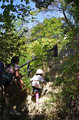 父親の見守りを受けつつ、自身で滋賀県太神山地の急斜道に挑む幼女