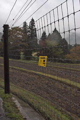 滋賀県北西・比良山塊西部支脈に抱かれた畑集落の縁に延々と張り巡らされた害獣用の電流防柵