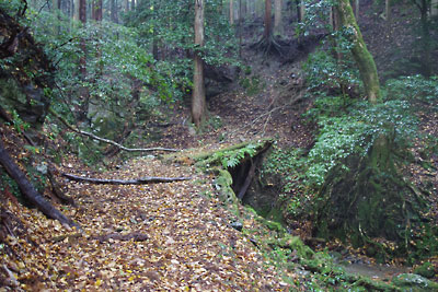 滋賀県北西・比良山塊西部支脈に抱かれた畑集落外れの古道と朽ちかけた丸木橋