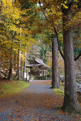 黄葉が美麗な、京都北山奥地の大悲山峰定寺参道と奥の仁王門