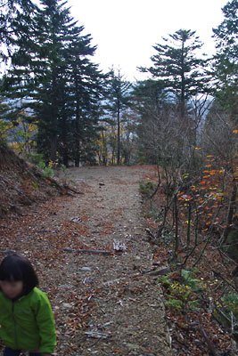 京都北山奥地・峰定寺東の山中に突如現れた謎の丸太壁の本体の林道