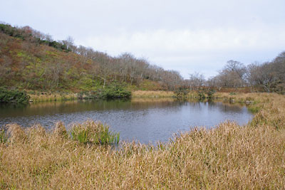 滋賀県西部・比良山脈南部の縦走路近くにある高層湿地「小女郎ヶ池」