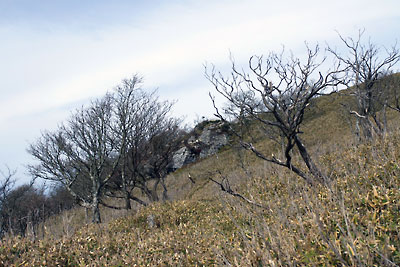 滋賀県西部・比良山脈南部の蓬莱山山頂近くにある大岩