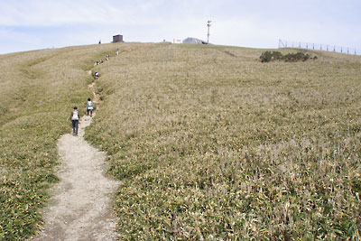 滋賀県西部・比良山脈南部の蓬莱山山頂へ続く最後の急登道
