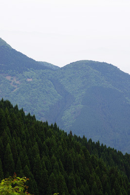 滋賀県葛川平集落から京都府最高峰「皆子山」に達する東南尾根ルートから見えた、比良山脈南部のアラキ峠