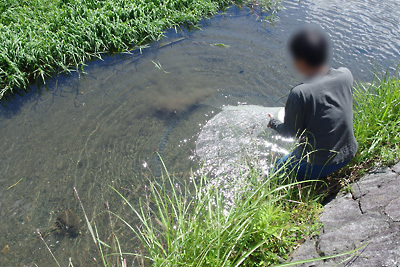 琵琶湖西岸に注ぐ小河川での投網の稚鮎漁（小鮎漁）