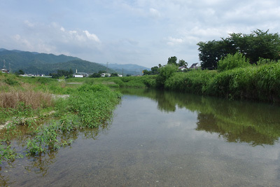 犬上川にまして水質美麗な滋賀県湖東の芹川