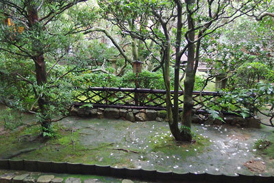 第51回京都非公開文化財特別公開で訪れた竜安寺の、方丈東庭に覗く竜安寺垣