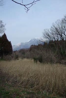 滋賀県北部・伊吹山麓山際の芦原底に浅く流れる「小碓の泉（間田湧水群）」と彼方に覗く、残雪ある伊吹山