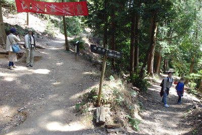 左に大文字山へと続く東山縦走路、右に山科への下り道が見える、京都東山山中の要所「七福思案処」