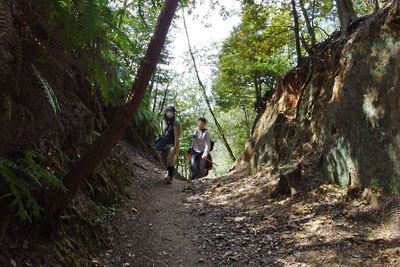 南禅寺と北山科を結ぶ山中古道にある、古い切通しの峠