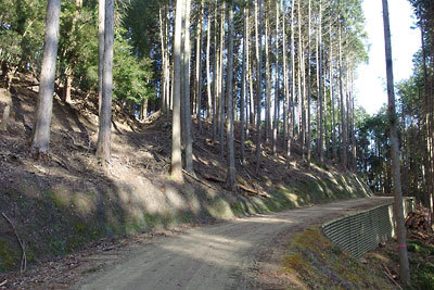 近江へ向かう如意越古道（左上）直下に造られ、自然と歴史景観を破壊した京都東山山中の新車道