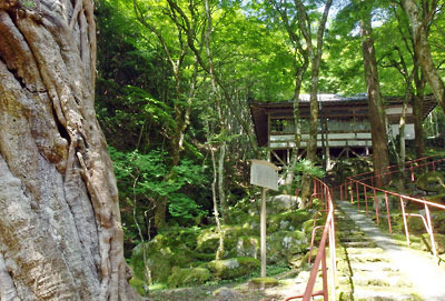 京都北山・焼杉山山腹の石段上に現れた、京都・大原古知谷の阿弥陀寺の建物
