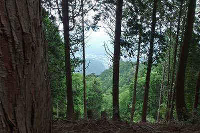 京都北山・焼杉山山頂の木立からのぞく、麓の大原集落