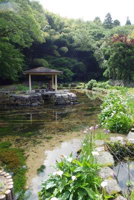鳥取県西部伯耆地方の大山裾野台地の浅谷から豊富に水が湧く「本宮湧水」