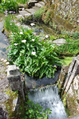 鳥取県西部伯耆地方の大山裾野台地の浅谷にある「本宮湧水」の池の水門