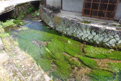 鳥取県西部・大山裾野台地の谷なかの集落を流れ下る本宮の泉水
