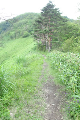 後醍醐天皇も通ったとされる、鳥取県「船上山」山上に続く尾根道