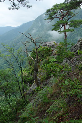 鳥取県の船上山山上縁にある屏風岩断崖の覗き場「千丈のぞき」