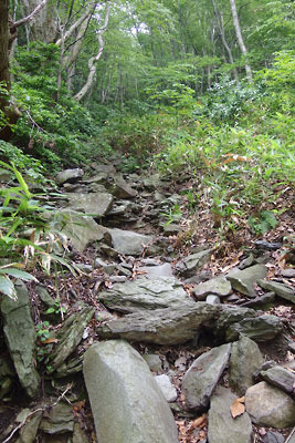 鳥取県の要害山「船上山」の山上から屏風岩の狭間を下る、足下の悪い急傾斜の裏道
