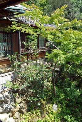 「京都夏の文化財特別公開」の一つ、京都鹿ケ谷・旧藤井彦四郎邸「和中庵」の、洋館と客殿の渡り廊下から見た、段差上に建つ客殿