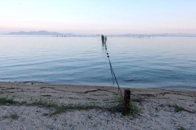 滋賀県琵琶湖西岸・南比良集落沖の桃色さす夕凪の湖面に佇む伝統漁具エリ（魞）