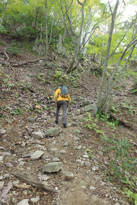 滋賀県西部・比良山脈北部の危険な「八ツ淵の滝」の道を避けるように谷上を巻く登山道を進む山会参加者