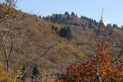 滋賀県西部・比良山脈の武奈ヶ岳北稜上にある細川越から見た比良奥地の紅葉