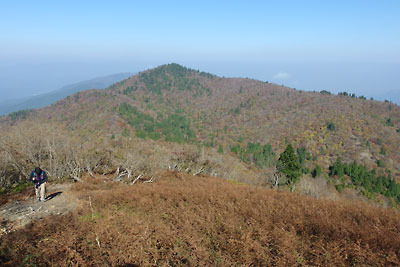 滋賀県西部・比良山脈の最高峰「武奈ヶ岳」北稜から見た「広谷」（中程緑樹帯辺り）と釣瓶岳（同中央の頂）