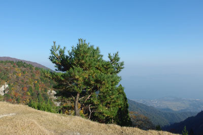 滋賀県西部・比良山脈山上の北比良峠にあるロープウェイ山上駅跡広場から見た琵琶湖方面