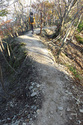 滋賀県西部・比良山脈山上の北比良峠から麓の「大山口」まで続く通称「ダケ道」の痩せ尾根道