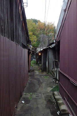 京都市街中央北部の聚楽第西外堀跡地とみられる森に続く路地と古い長屋群