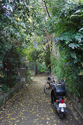 賑やかな千本通裏とは思えない静けさと緑を保つ、京都市街中央北部にある聚楽第西外堀跡地